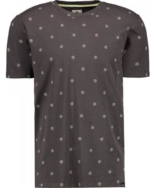 Футболка мужская D11203/5001