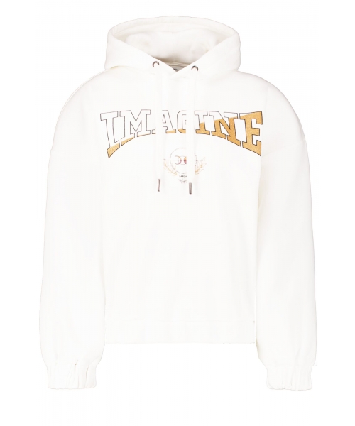 Худі жіночий V20261/53